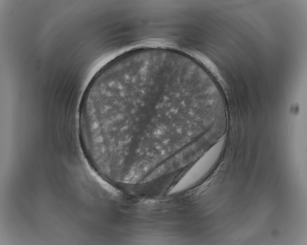 X0000089921335200707271728