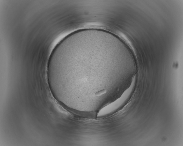 X0000089921336200707271728