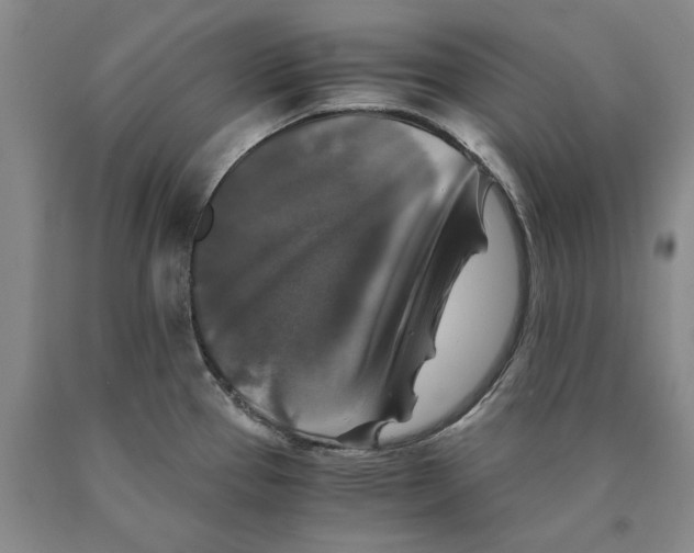 X0000089921337200707271728