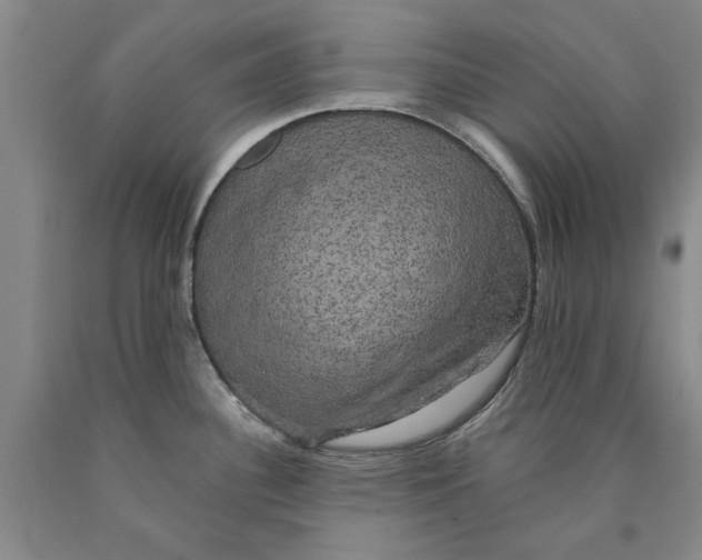 X0000089921340200707271728