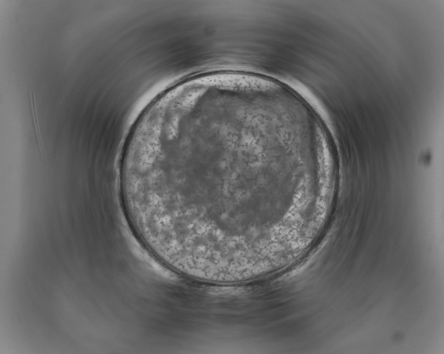 X0000089921341200707271728