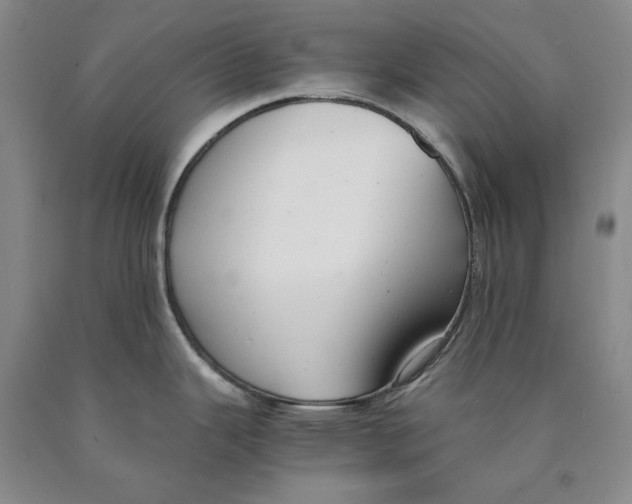 X0000089921343200707271728