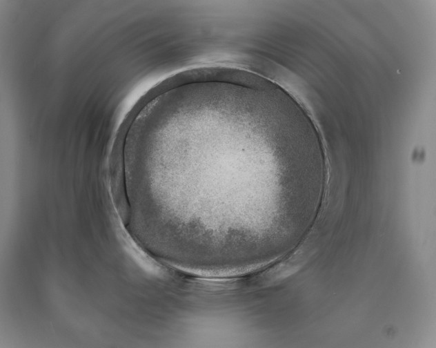 X0000089921344200707271728