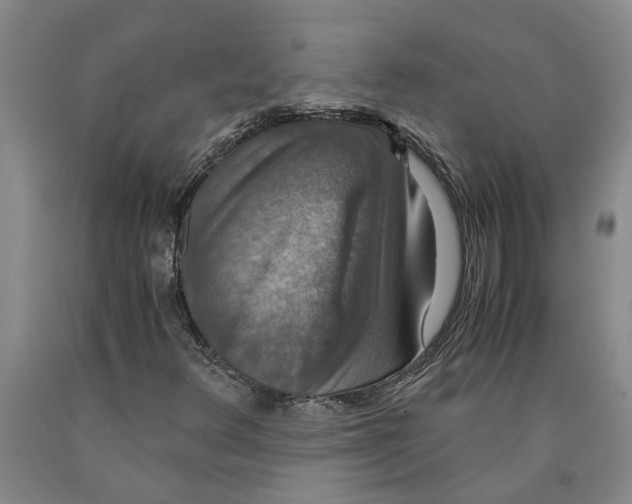 X0000089921348200707271727