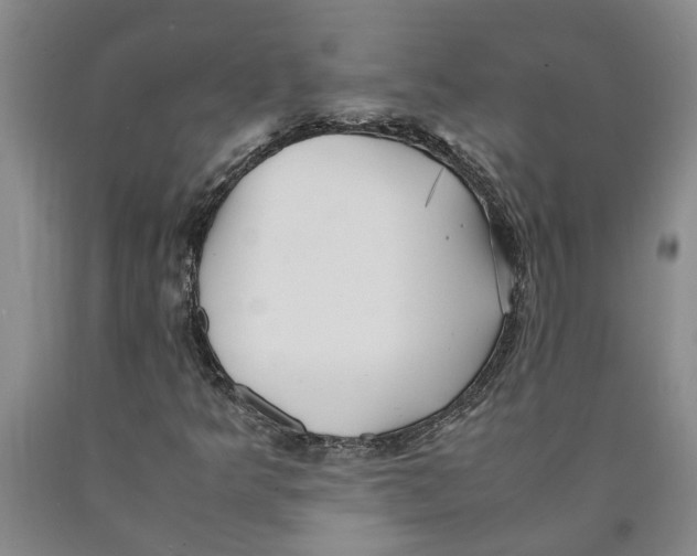 X0000089921349200707271727