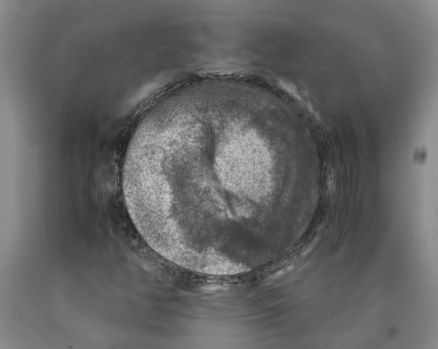 X0000089921350200707271727