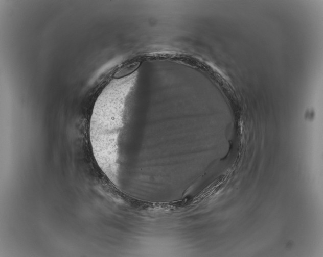 X0000089921351200707271727