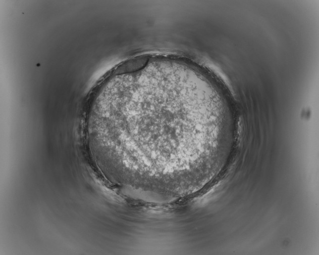 X0000089921352200707271727