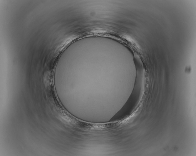 X0000089921353200707271727