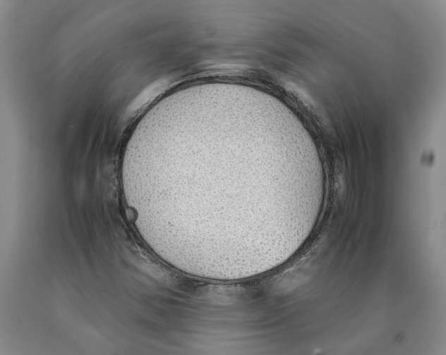 X0000089921354200707271727