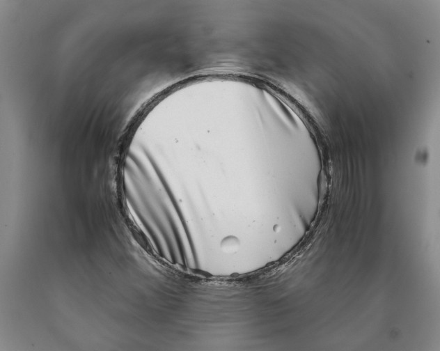 X0000089921356200707271727