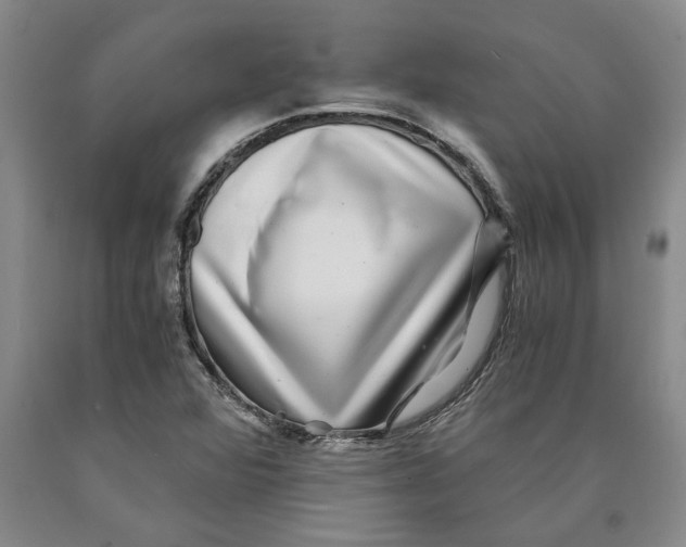 X0000089921360200707271727