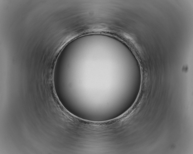 X0000089921361200707271727