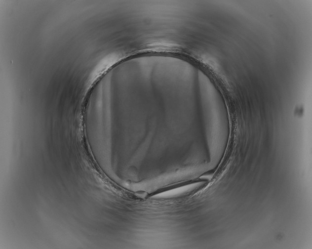 X0000089921362200707271727