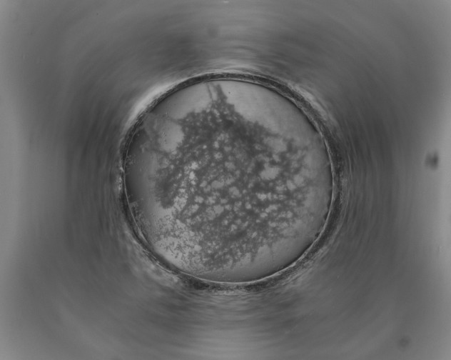 X0000089921363200707271727