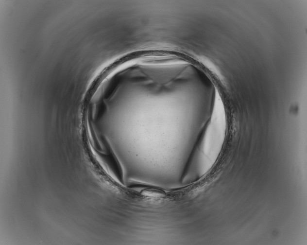 X0000089921364200707271727