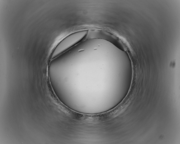 X0000089921365200707271727