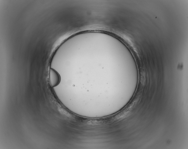 X0000089921366200707271727