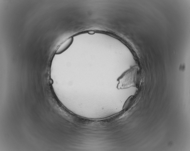 X0000089921367200707271727