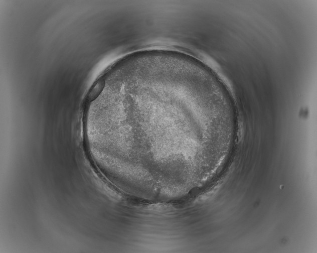 X0000089921368200707271727