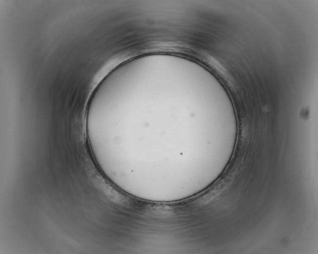 X0000089921370200707271727