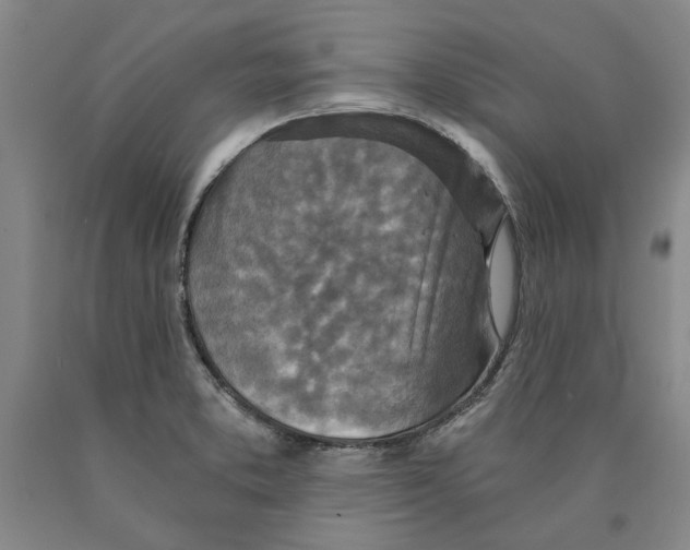 X0000089921373200707271727