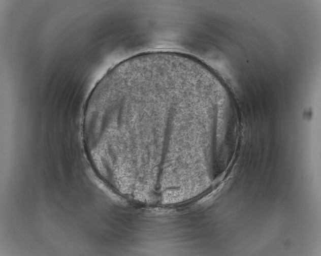 X0000089921374200707271727