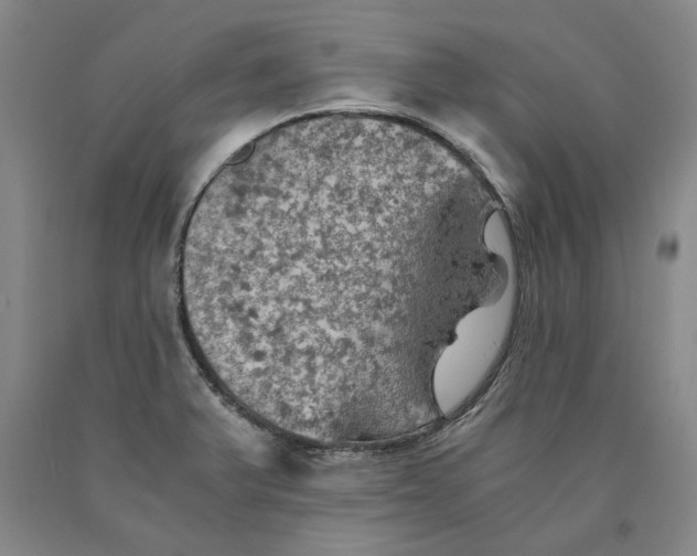 X0000089921375200707271727