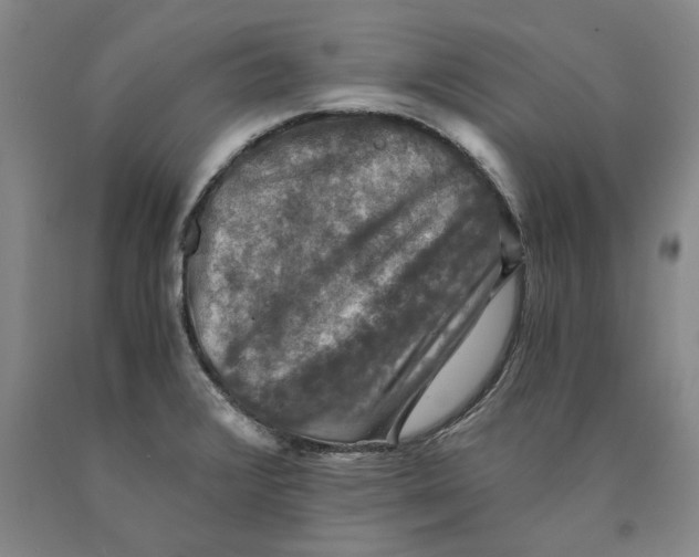 X0000089921376200707271727