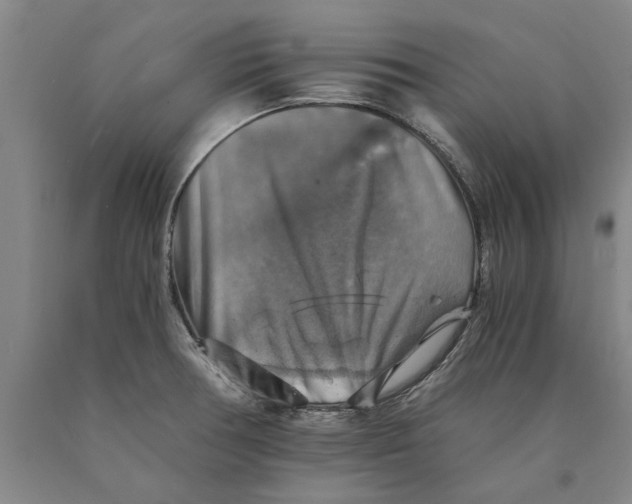 X0000089921378200707271727