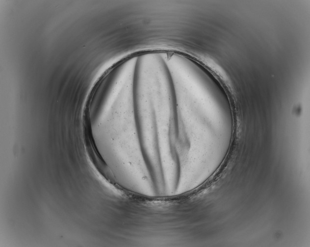 X0000089921380200707271727