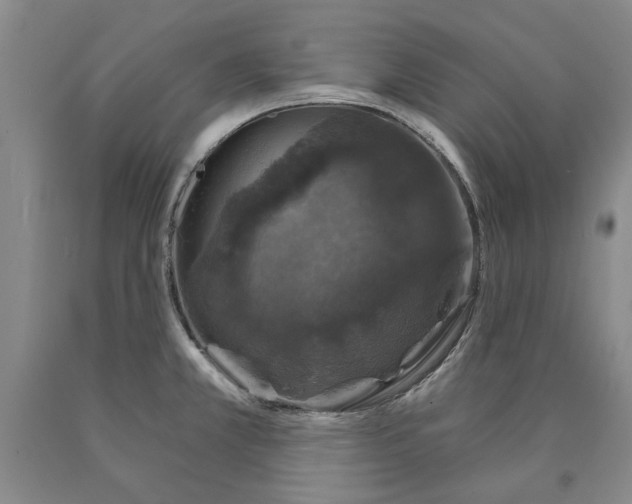 X0000089921381200707271727