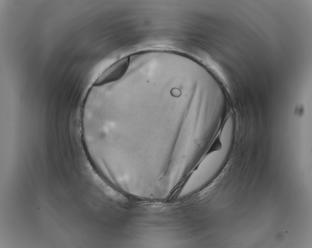 X0000089921382200707271727