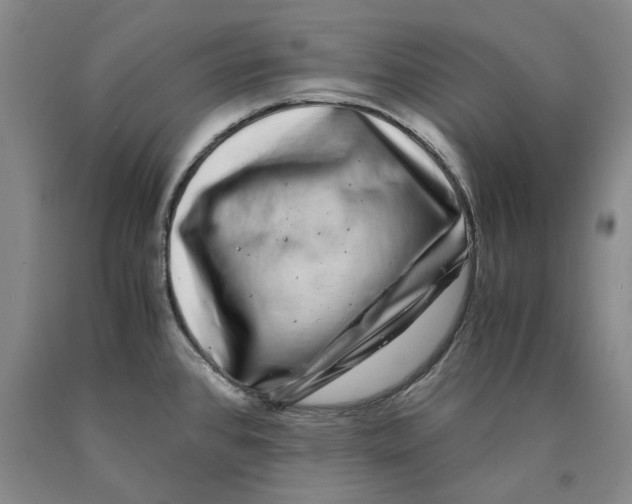 X0000089921384200707271727