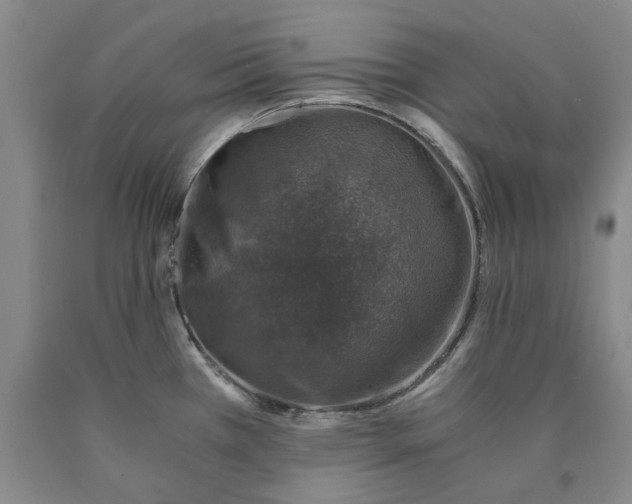 X0000089921385200707271727