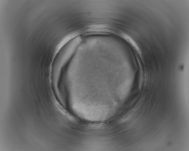 X0000089921386200707271727