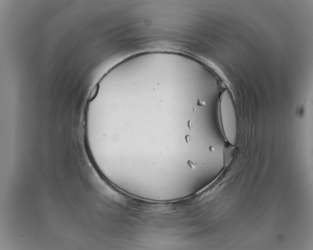 X0000089921387200707271727