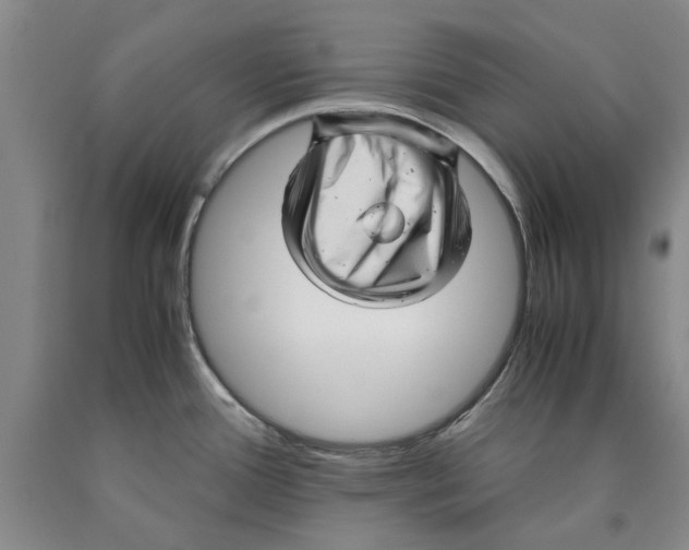 X0000089921388200707271727