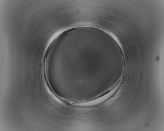 X0000089921389200707271727