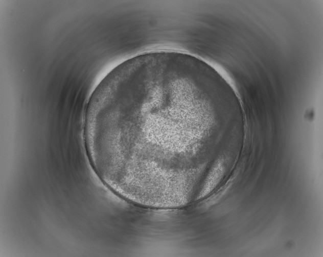 X0000089921390200707271727