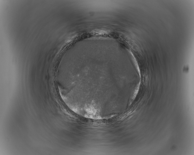 X0000089921393200707271726