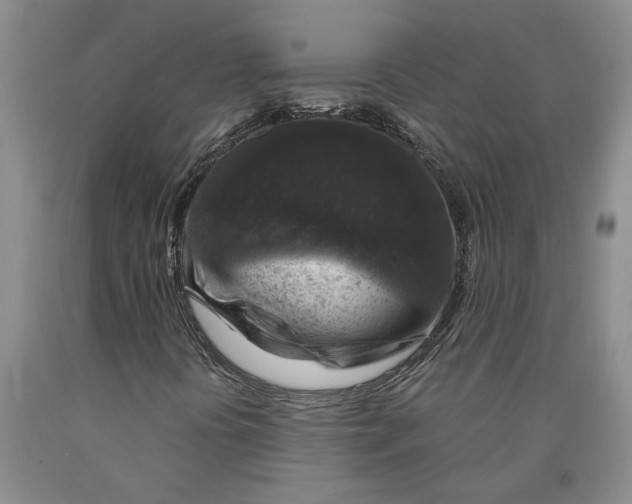 X0000089921394200707271726