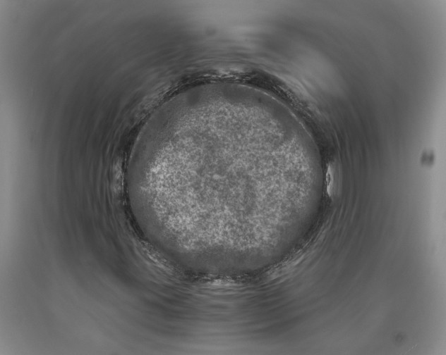 X0000089921395200707271726