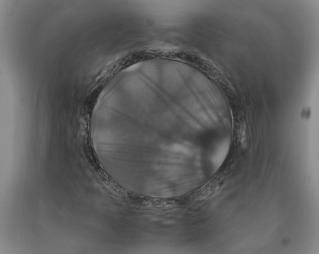 X0000089921397200707271726