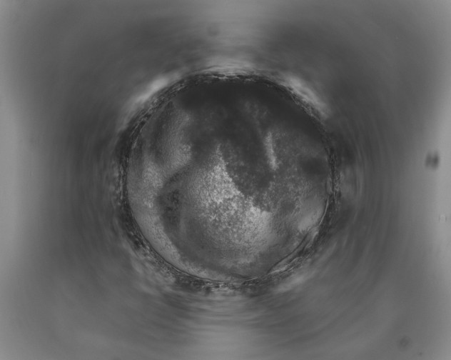 X0000089921398200707271726