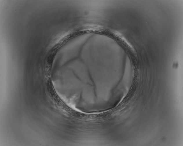 X0000089921399200707271726