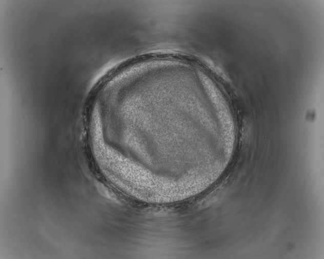 X0000089921400200707271726