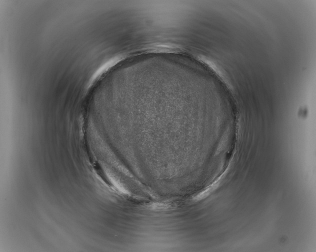 X0000089921402200707271726