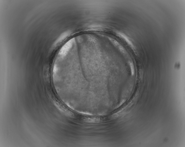 X0000089921403200707271726