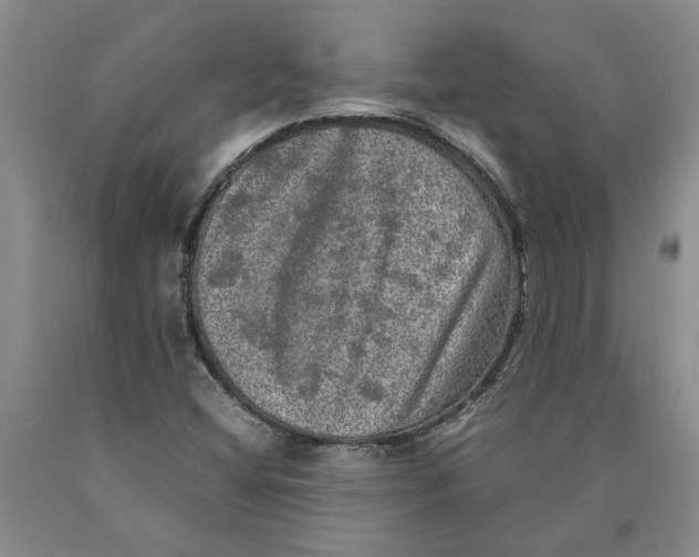 X0000089921404200707271726